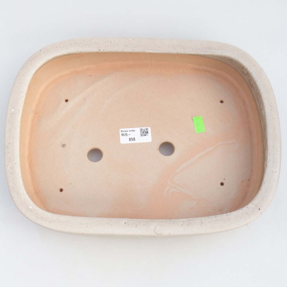 Ciotola per bonsai in ceramica 31,5 x 24 x 6 cm, colore beige