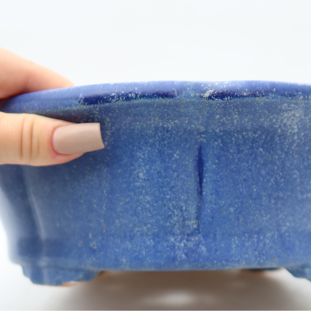 Ciotola bonsai in ceramica 26,5 x 26,5 x 8,5 cm, colore blu