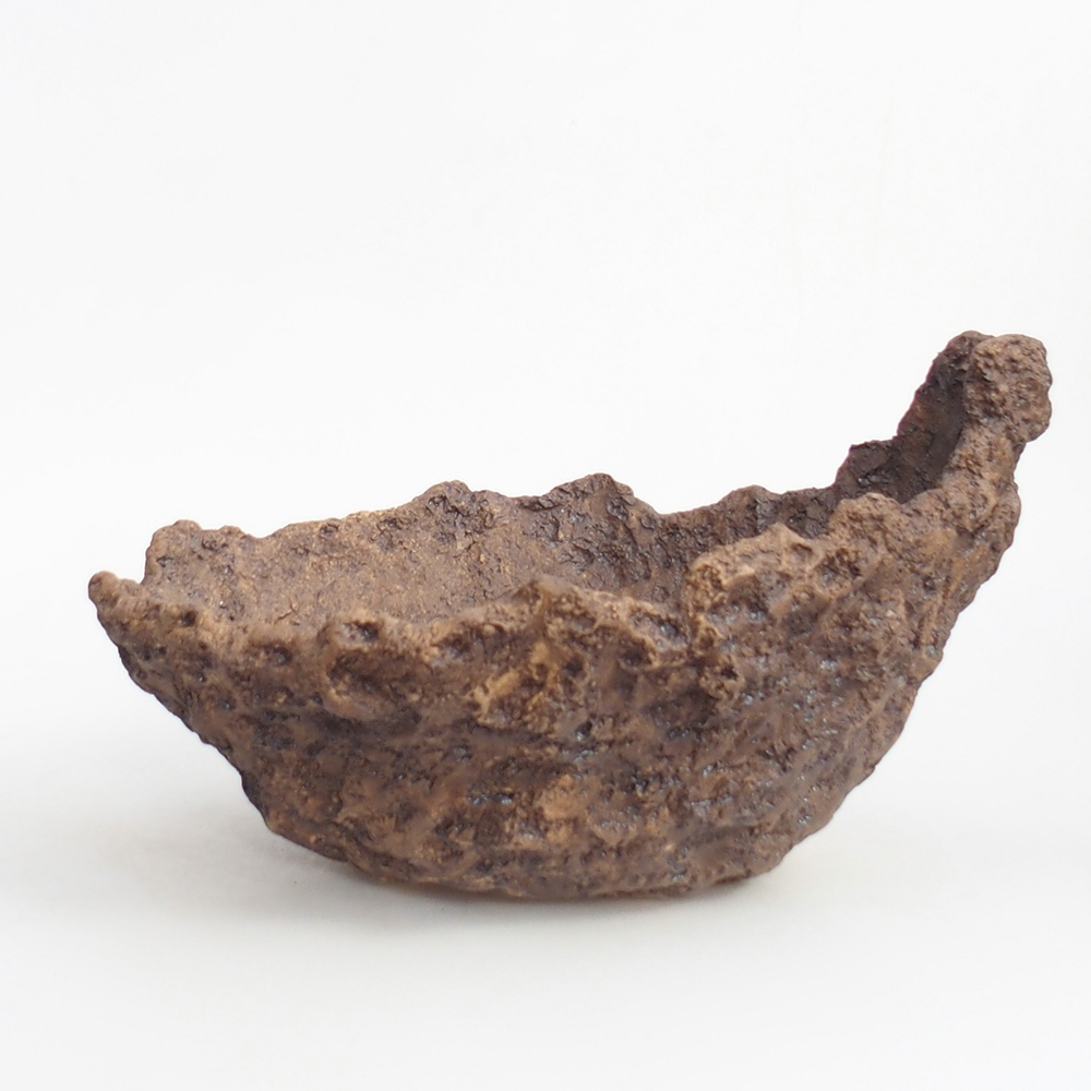 Conchiglia in ceramica 24 x 20 x 16,5 cm , colore marrone