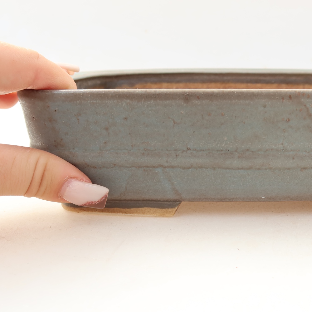 Vaso in ceramica per bonsai 22,5 x 18 x 6 cm, colore blu