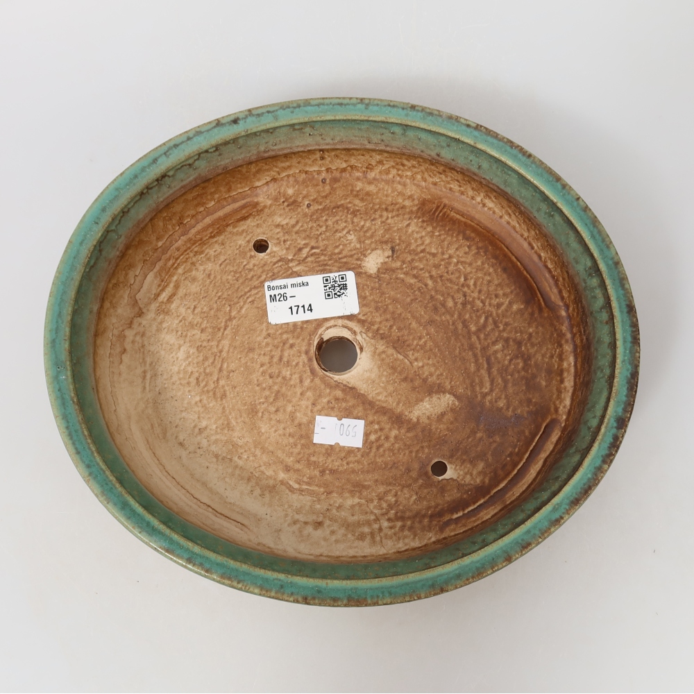 Ciotola bonsai in ceramica 24 x 21 x 5 cm, verde