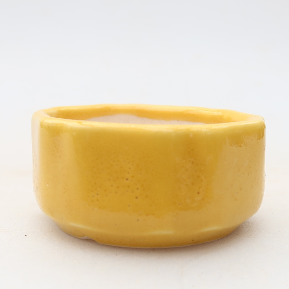 Vaso in ceramica per bonsai 5 x 5 x 2,5 cm, colore giallo
