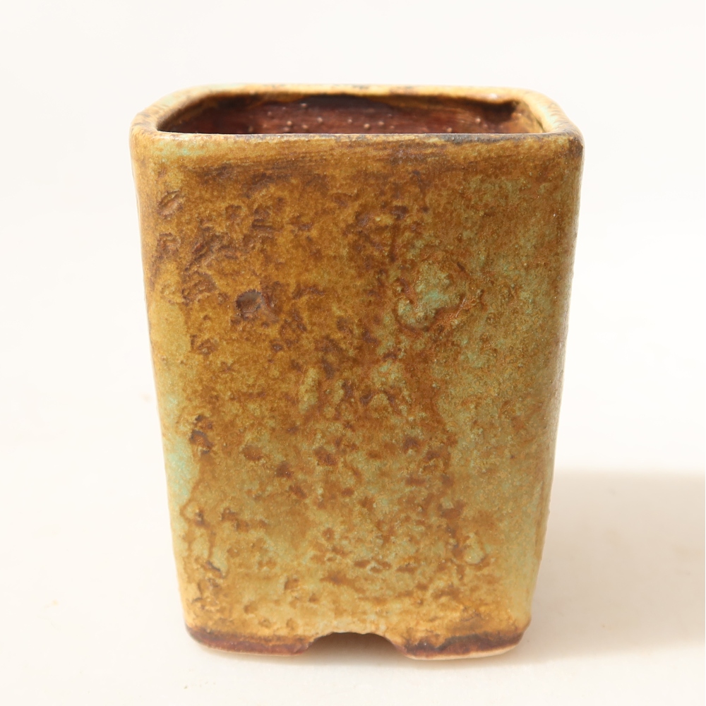 Ciotola bonsai in ceramica 5 x 5 x 6,5 cm, verde