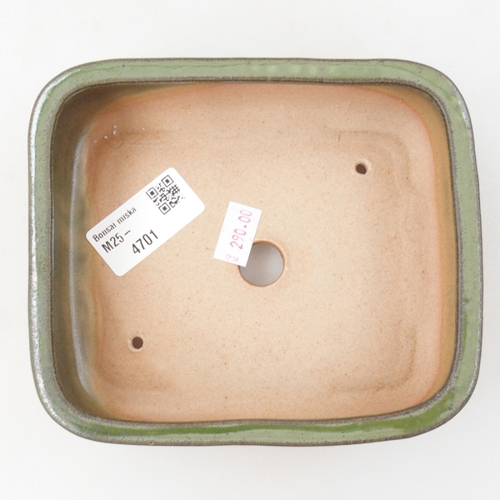 Ciotola per bonsai in ceramica 14 x 12,5 x 4,5 cm, verde
