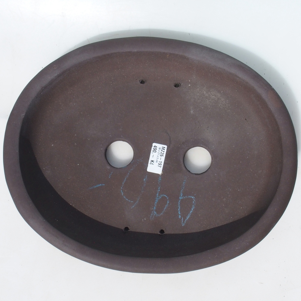 Ciotola bonsai 38 x 21 x 5 cm betulla marrone