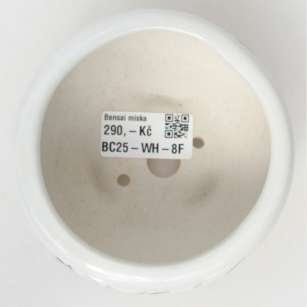 Ciotola per bonsai in ceramica 10 x 10 x 5 cm, colore bianco