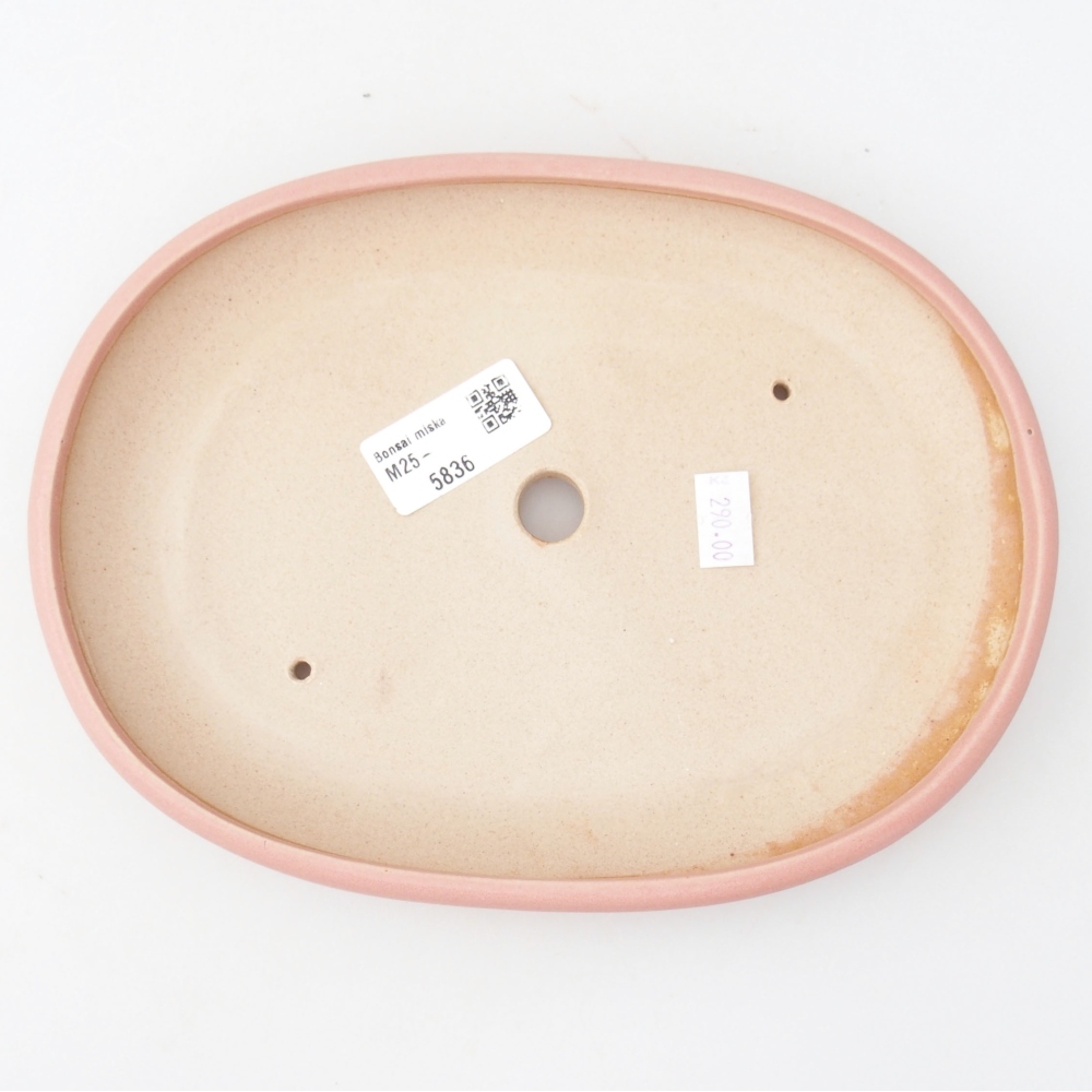 Ciotola bonsai in ceramica 22 x 17 x 5 cm, verde