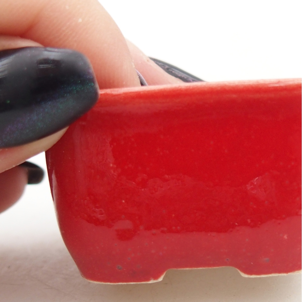 Mini bonsai 4 x 3,5 x 2,5 cm, colore rosso