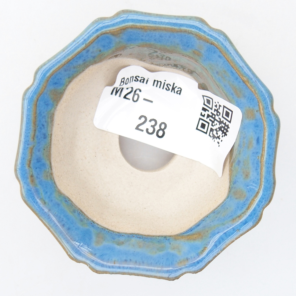 Mini bonsai 6 x 6 x 2,5 cm, colore blu