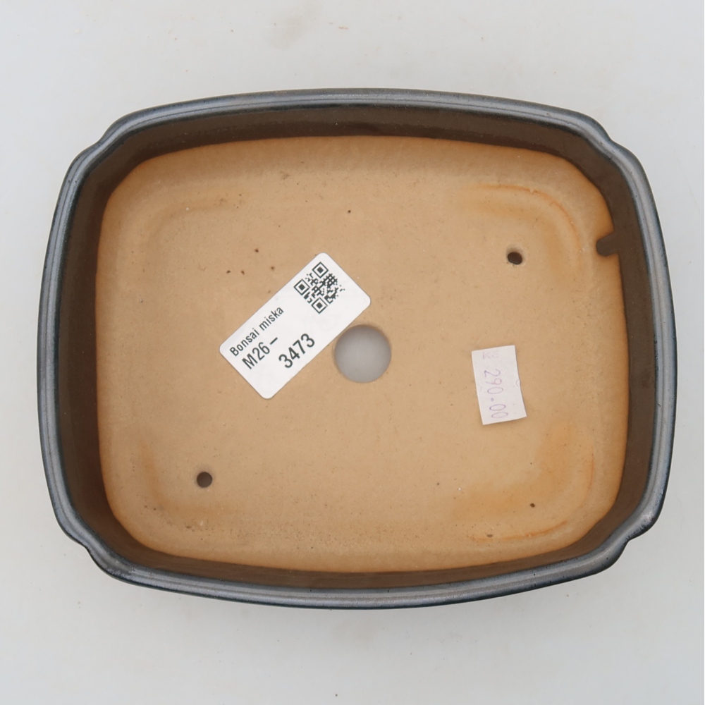 Vaso da bonsai in ceramica 15 x 12,5 x 4,5 cm, colore metallizzato