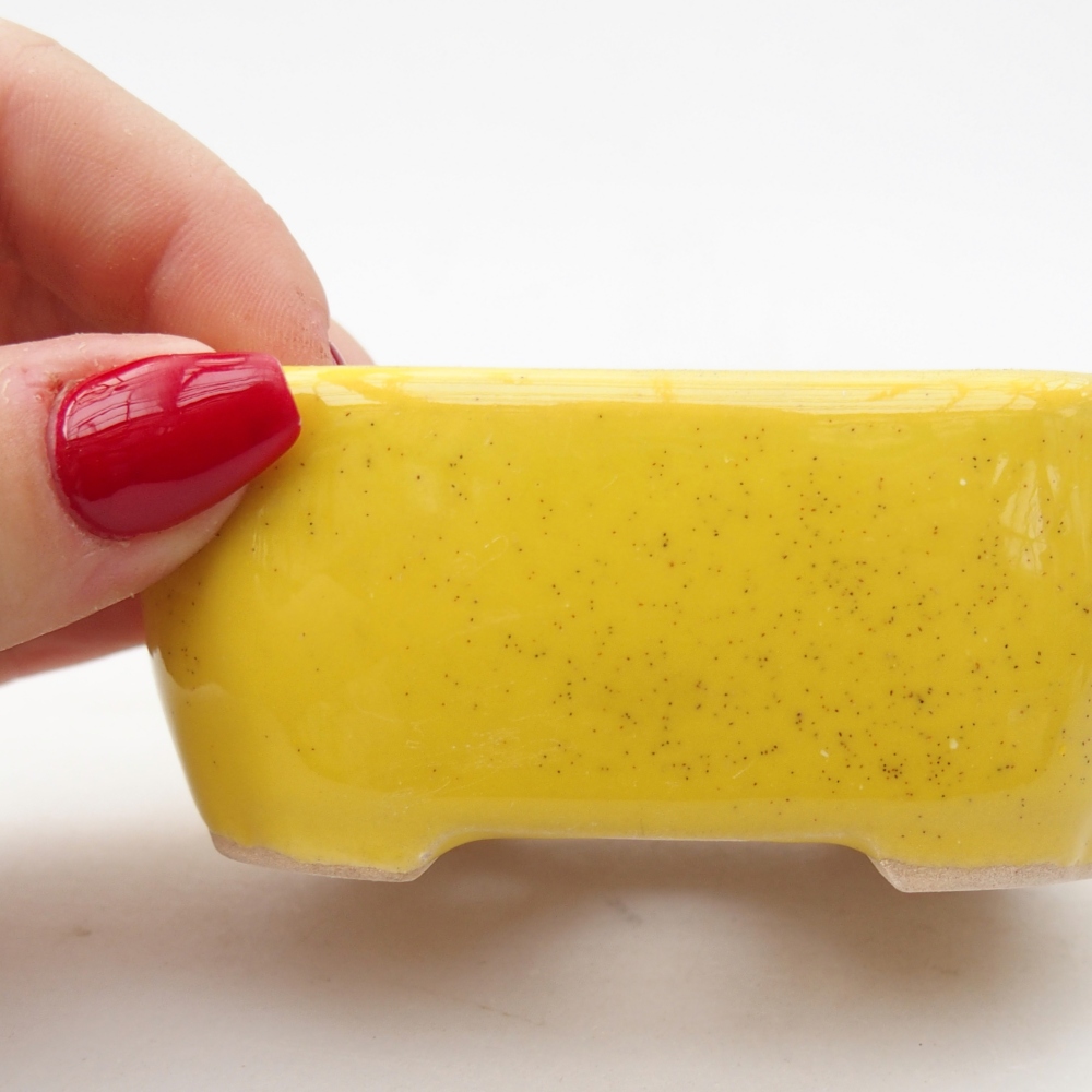 Ciotola bonsai in ceramica 26 x 26 x 8 cm, colore rosso