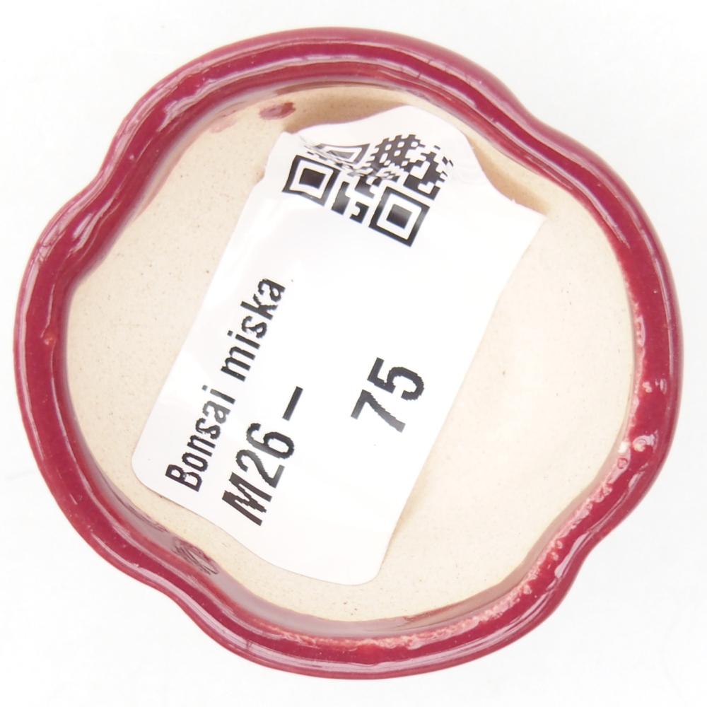 Ciotola per mini bonsai 4 x 4 x 2 cm, bordeaux