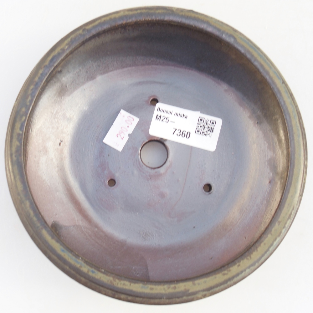 Ciotola per bonsai in ceramica 16 x 16 x 5 cm, marrone