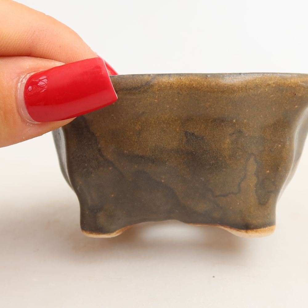 Ciotola per bonsai in ceramica 7 x 7 x 3,5 cm, marrone