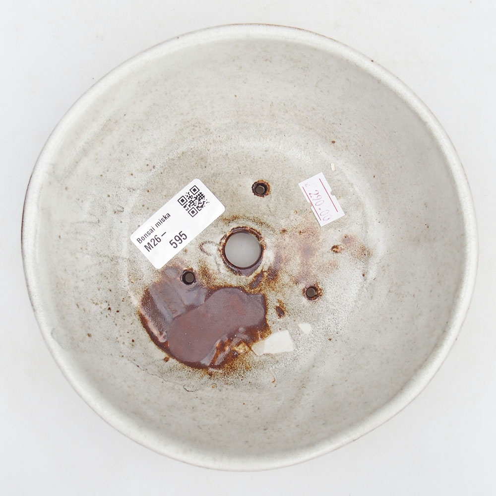 Ciotola per bonsai in ceramica 17,5 x 17,5 x 4,5 cm, colore bianco