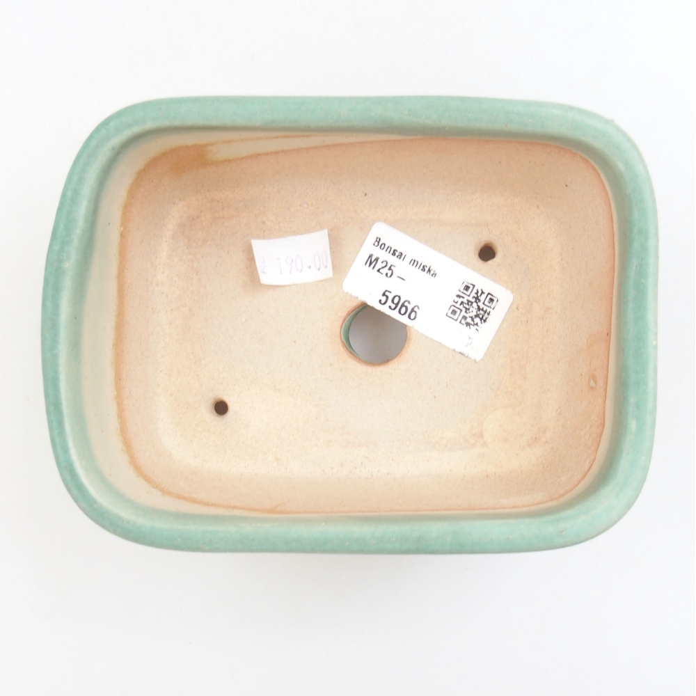 Ciotola bonsai in ceramica 22 x 17 x 5 cm, verde