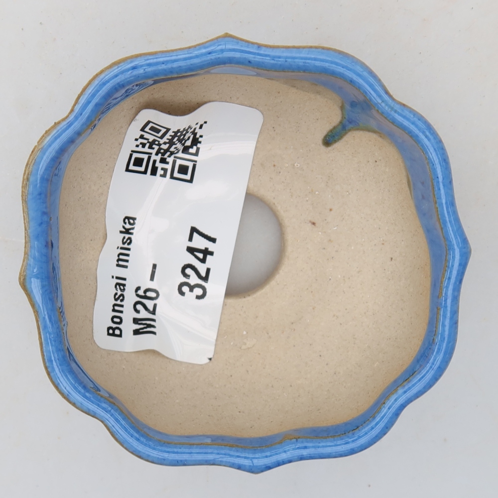 Vaso da bonsai in ceramica 6 x 6 x 3 cm, colore blu