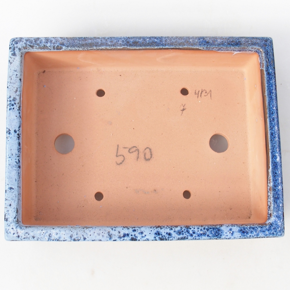 Ciotola 22 x 17 x 5,5 cm blu-bianco