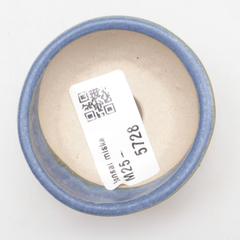 Mini bonsai 6 x 6 x 2,5 cm, colore blu