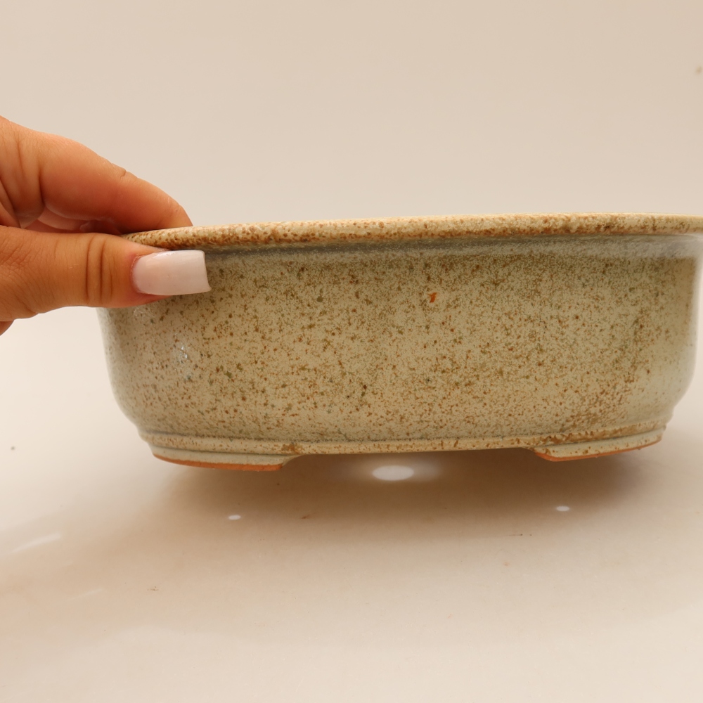 Vaso da bonsai in ceramica 23 x 19 x 8 cm, colore beige