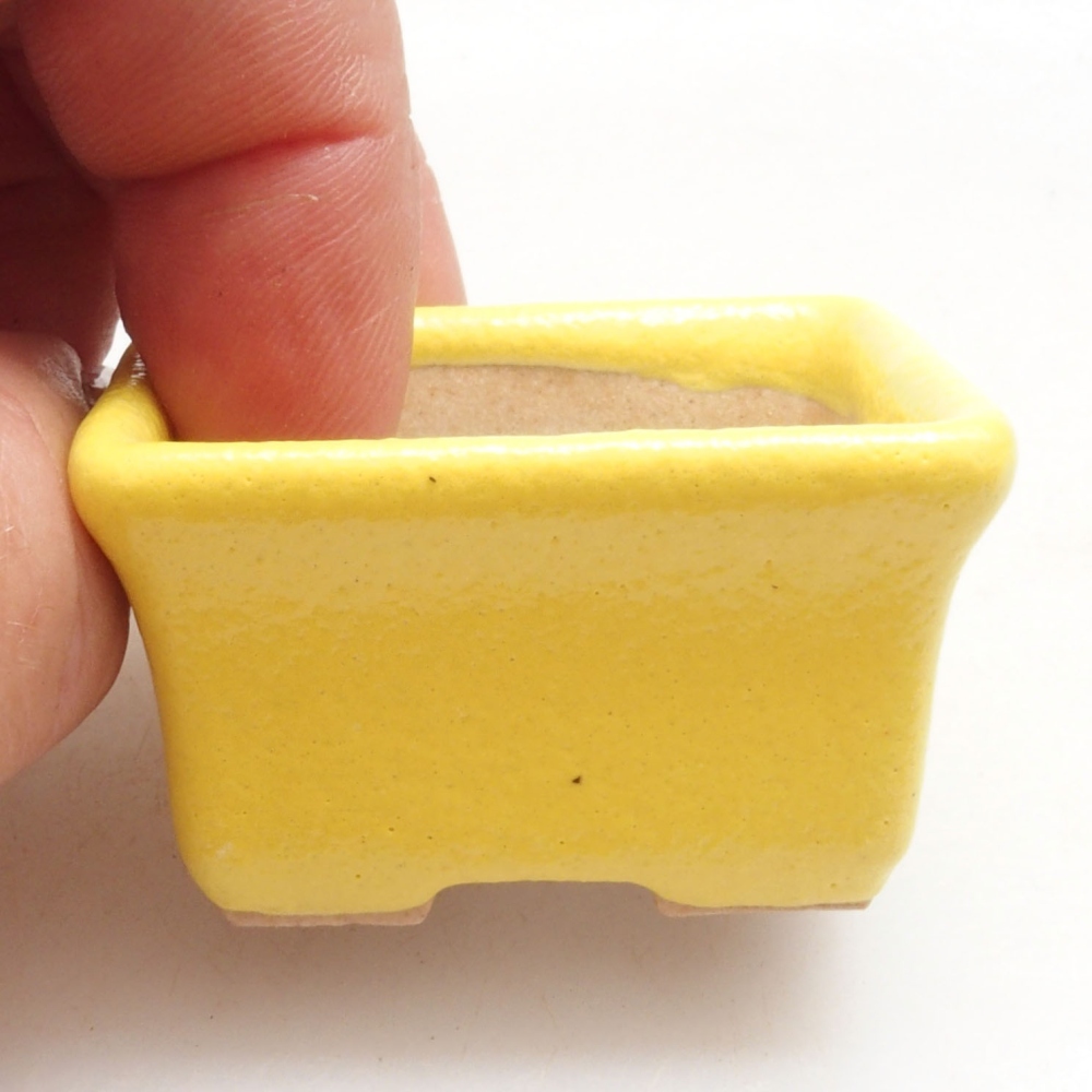 Ciotola per bonsai in ceramica 4 x 3,5 x 2,5 cm, giallo