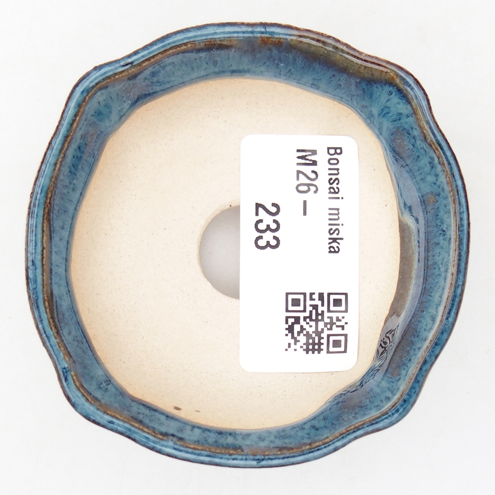 Mini bonsai 6,5 x 6,5 x 2,5 cm, colore blu