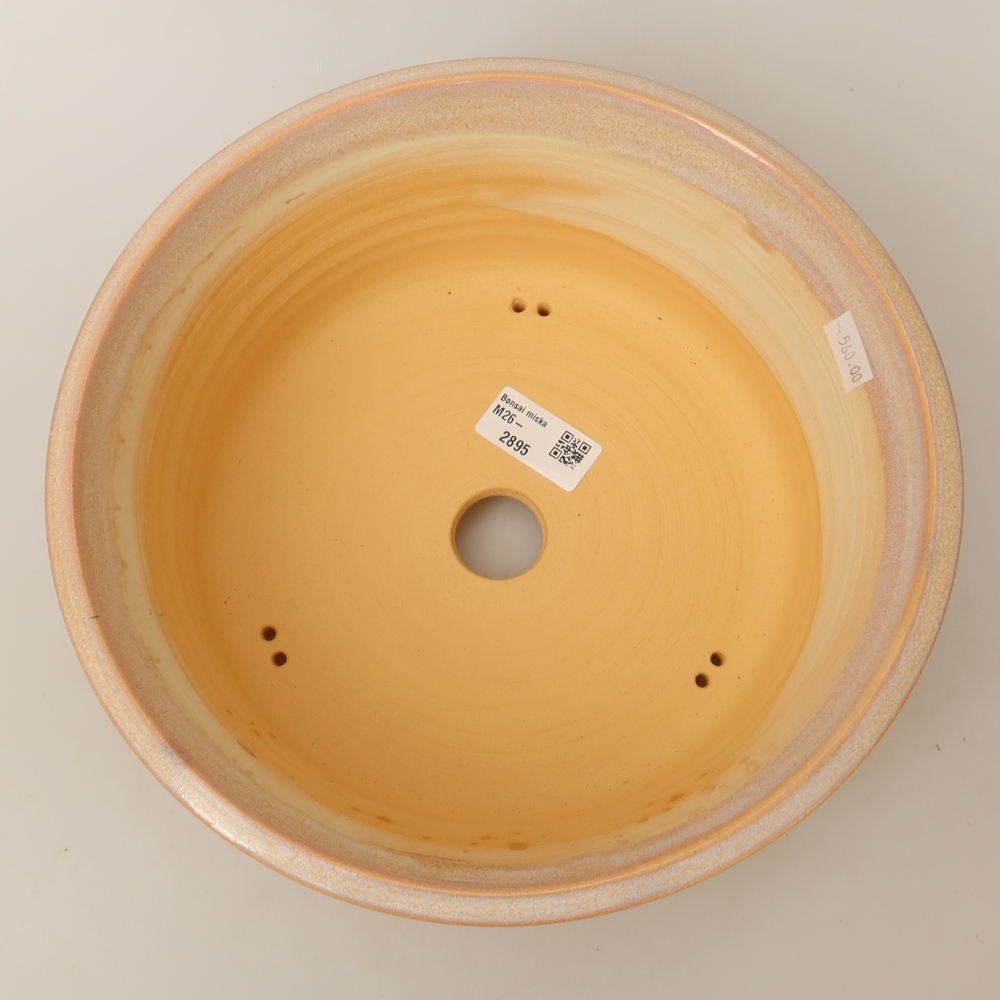 Vaso in ceramica per bonsai 26 x 26 x 9,5 cm, colore beige