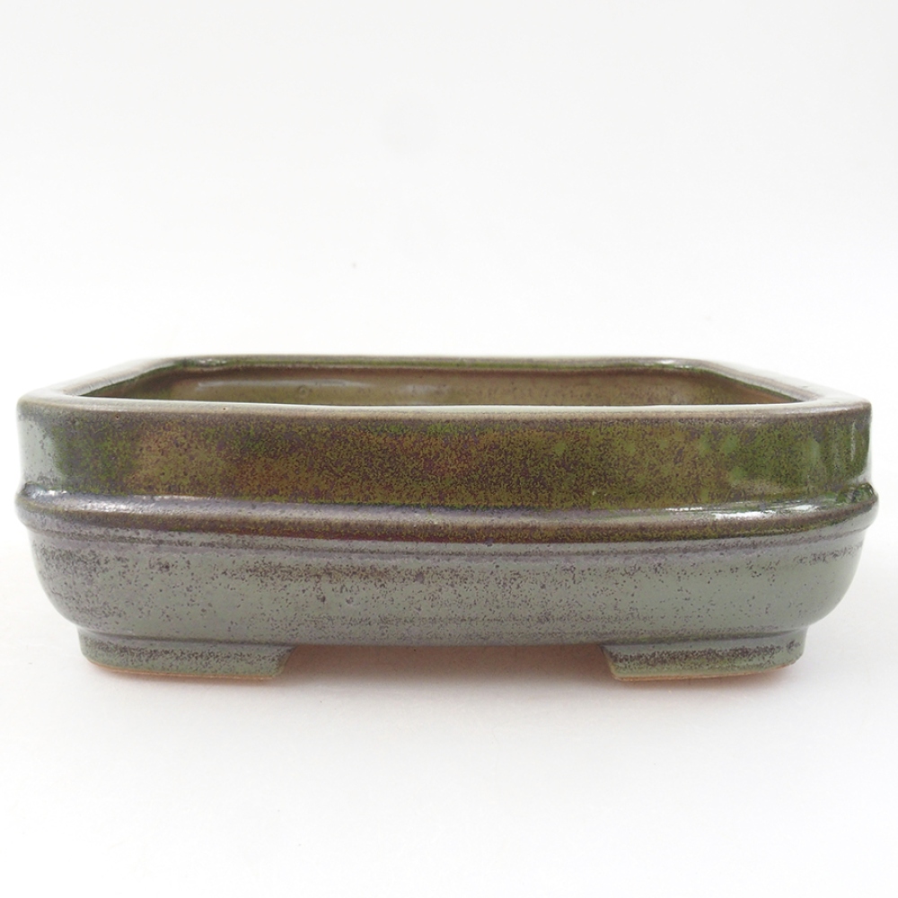 Ciotola per bonsai in ceramica 14 x 12,5 x 4,5 cm, verde