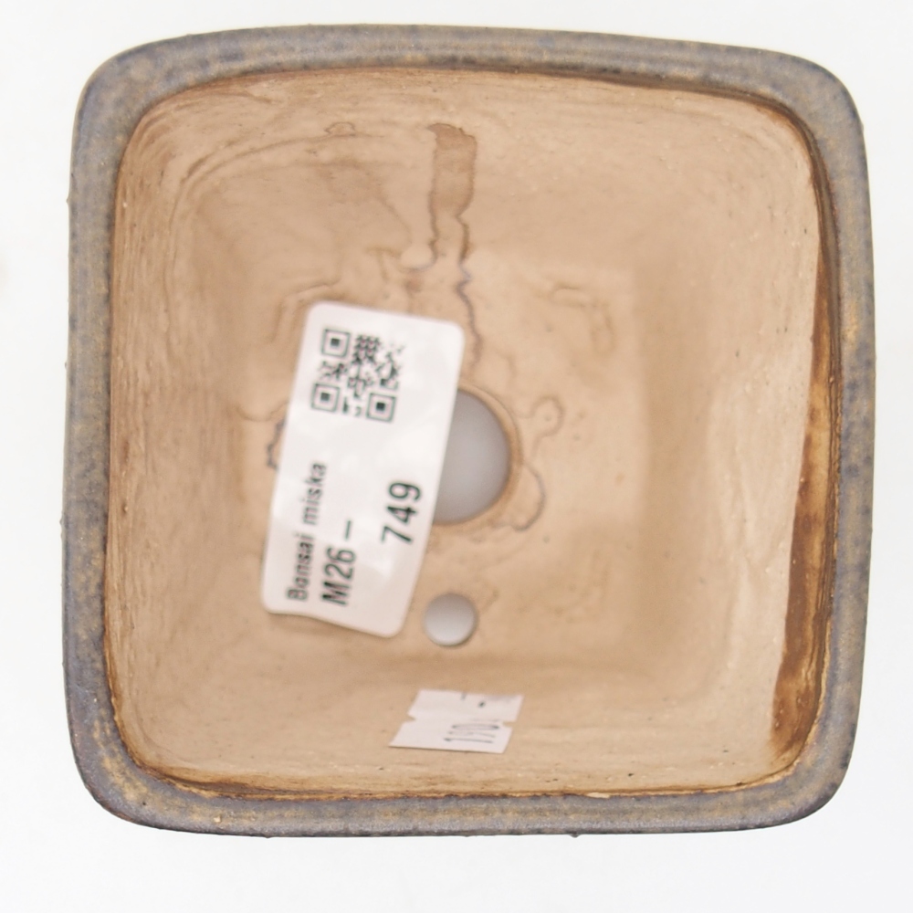 Ciotola per bonsai in ceramica 7,5 x 7,5 x 7,5 cm, marrone