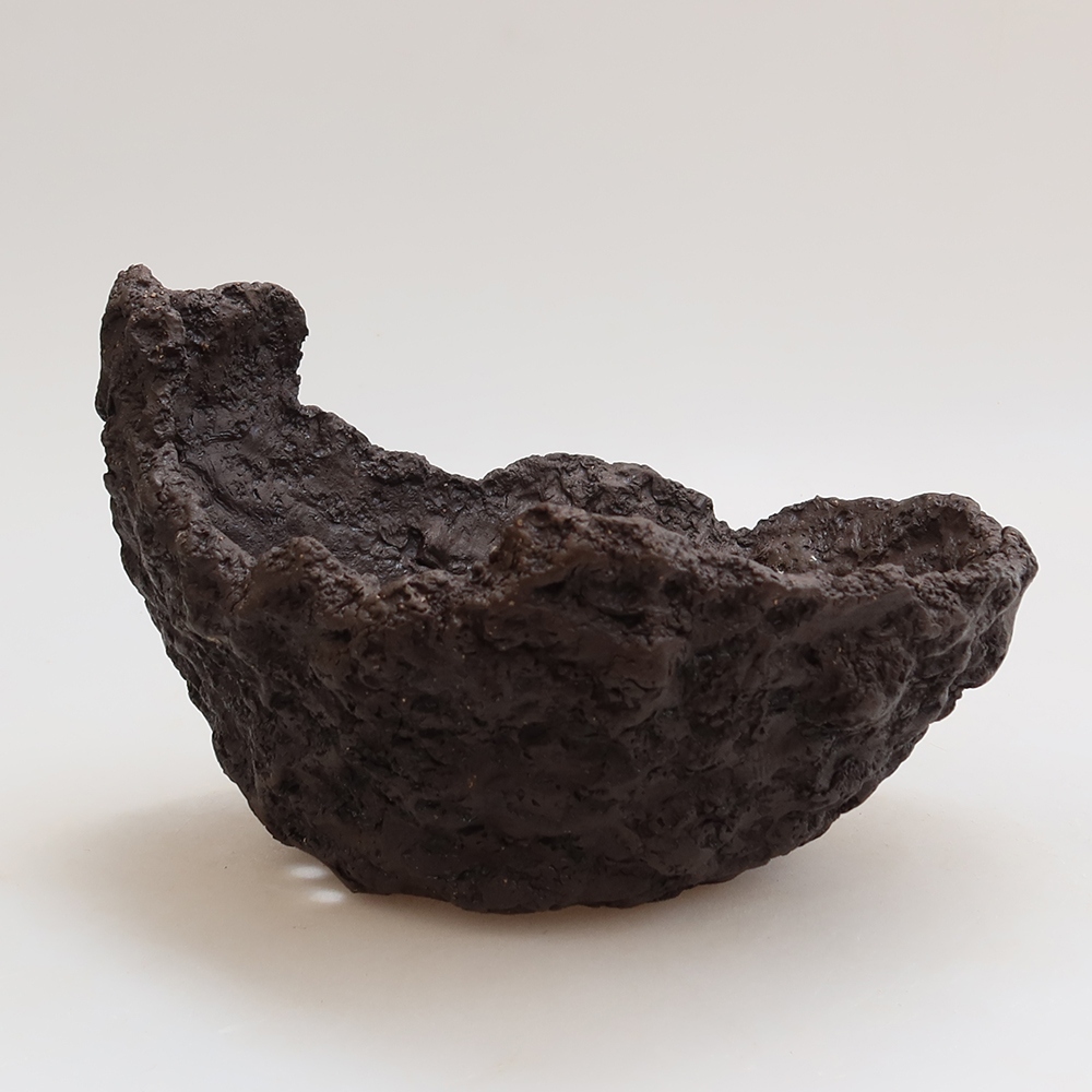 Conchiglia in ceramica 18 x 16 x 13 cm, colore marrone