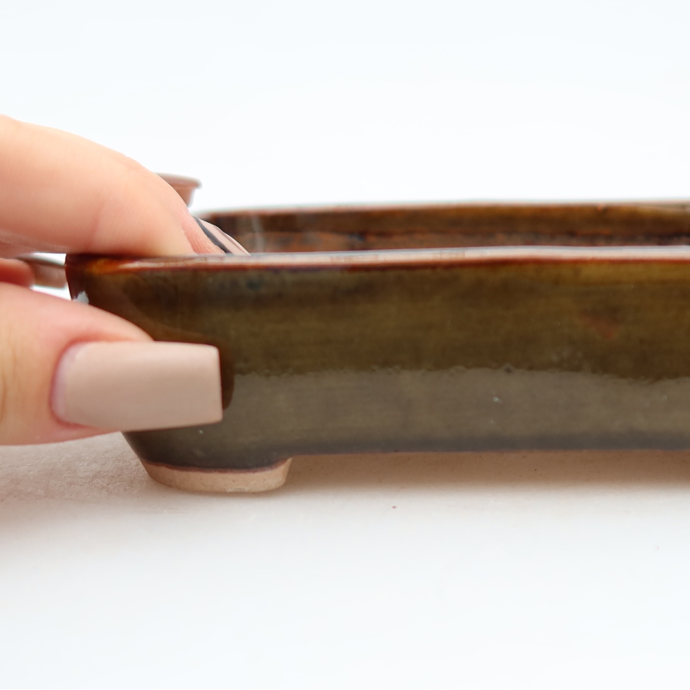 Vaso in ceramica per bonsai 12,5 x 9 x 3,5 cm, colore marrone