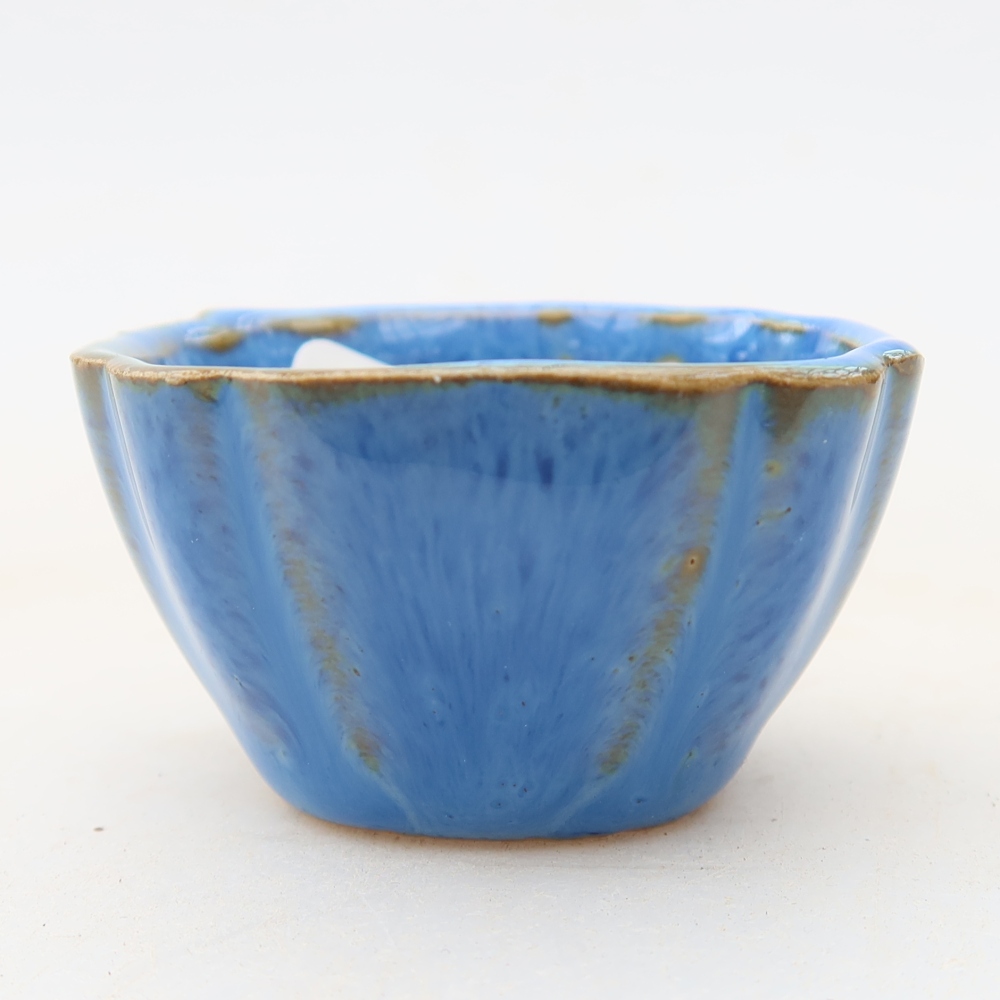 Ciotola per bonsai in ceramica 4,5 x 4,5 x 2,5 cm, colore blu