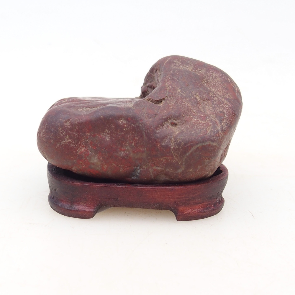 Suiseki - Pietra con DAI (base in legno)