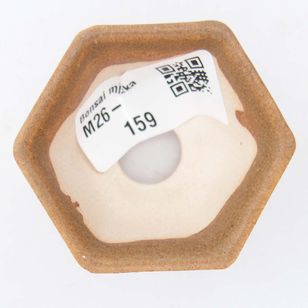 Ciotola per mini bonsai 5,5 x 5 x 3 cm, marrone
