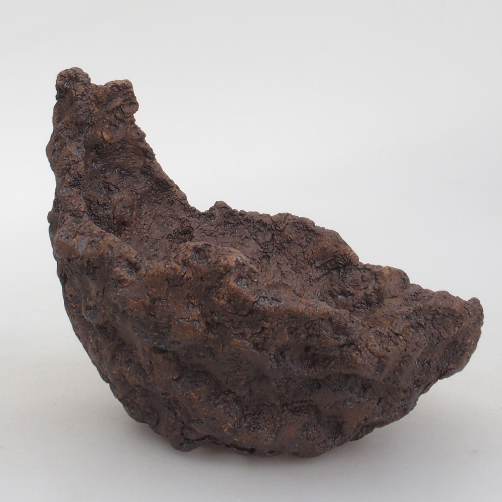 Conchiglia in ceramica 13 x 10,5 x 12,5 cm , colore marrone