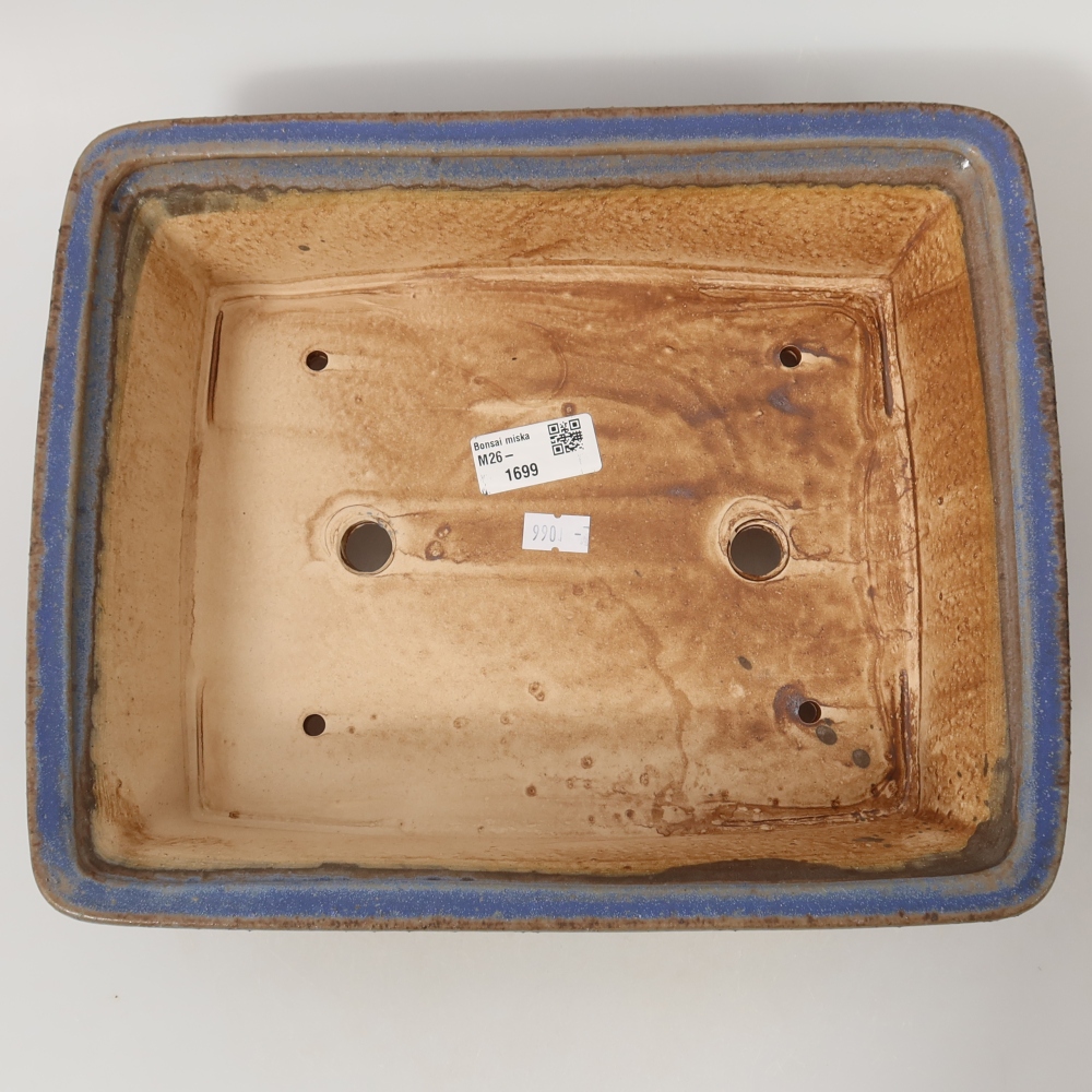 Vaso in ceramica per bonsai 29,5 x 24 x 8 cm, colore blu