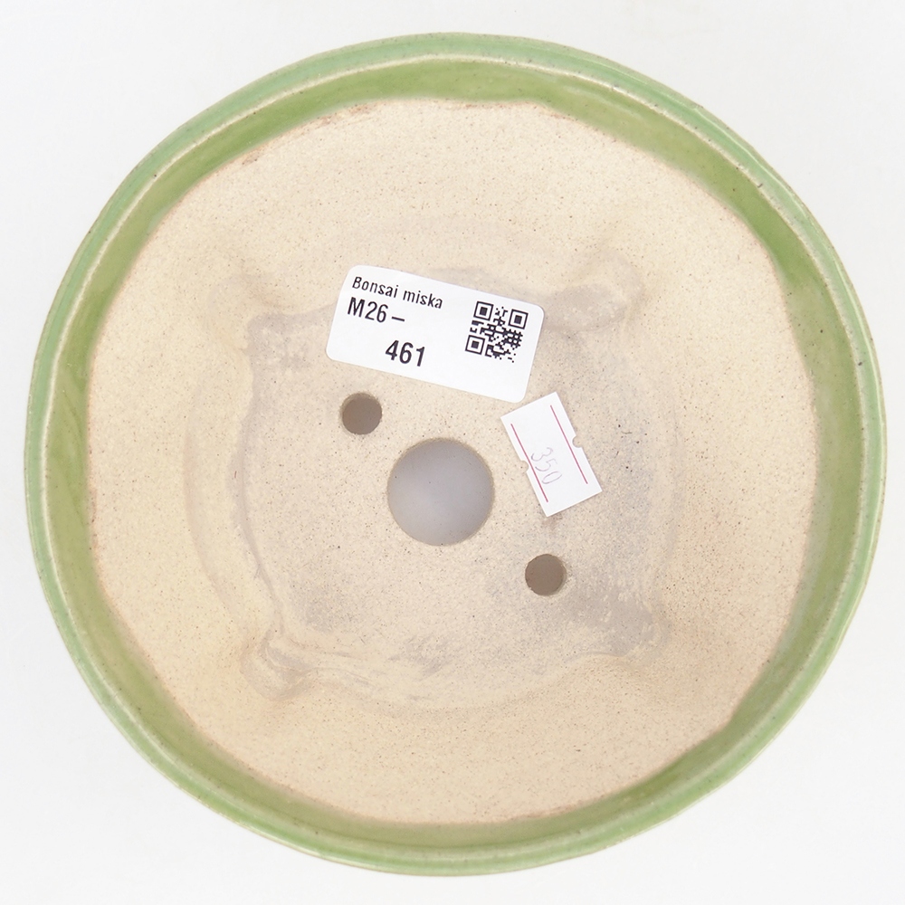 Ciotola bonsai in ceramica 13,5 x 13,5 x 6,5 cm, verde