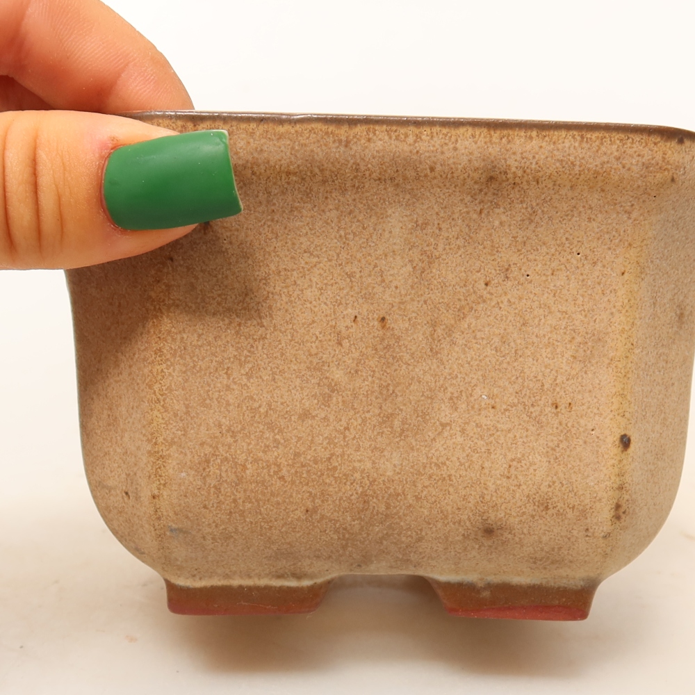 Guscio in ceramica  11,5 x 11,5 x 7 cm, colore beige