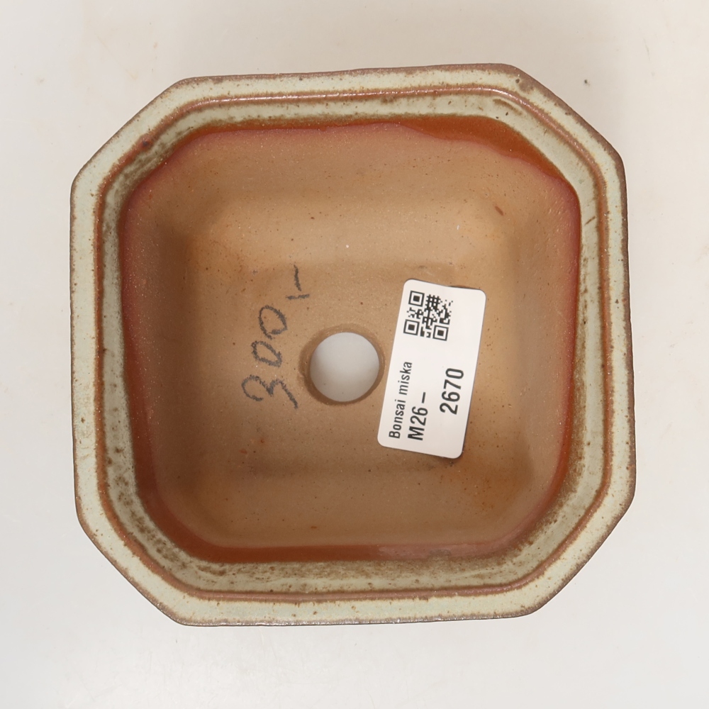 Conchiglia in ceramica  11 x 11 x 6,5 cm, colore beige
