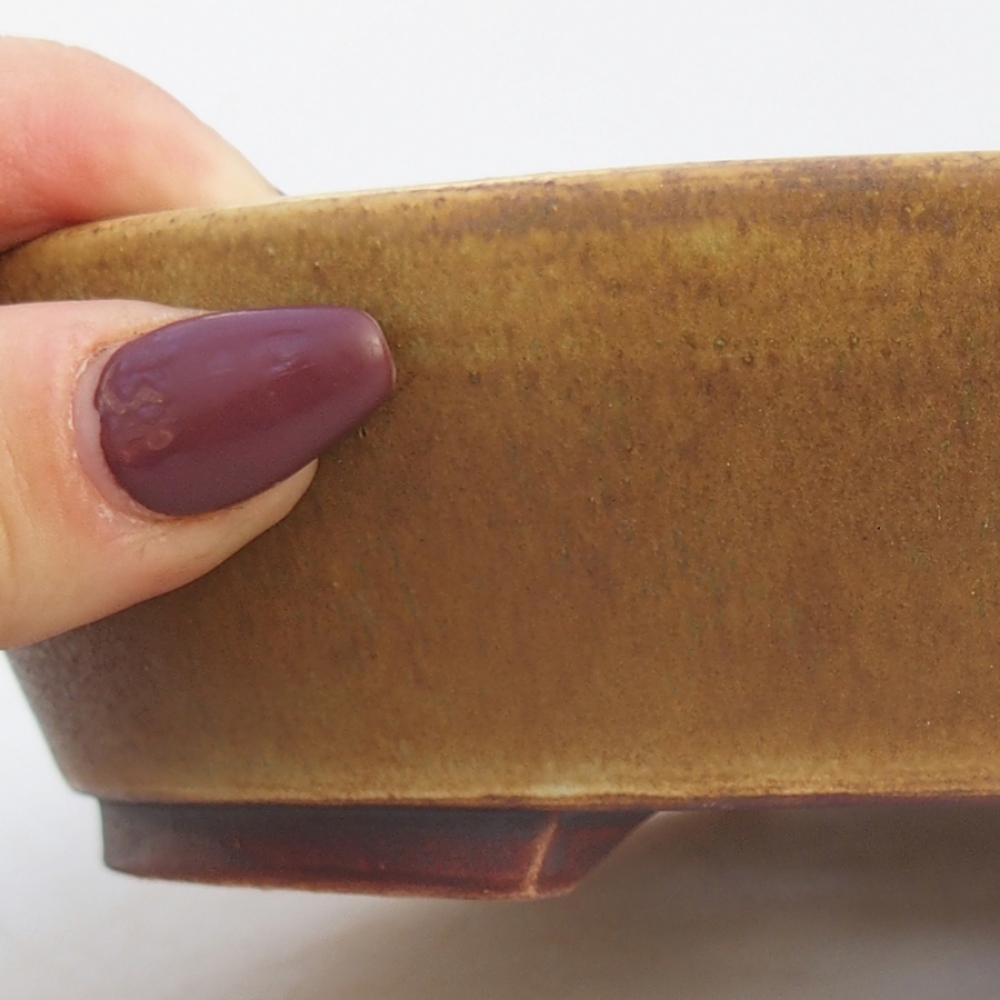 Ciotola per bonsai in ceramica 18,5 x 16,5 x 4 cm, verde