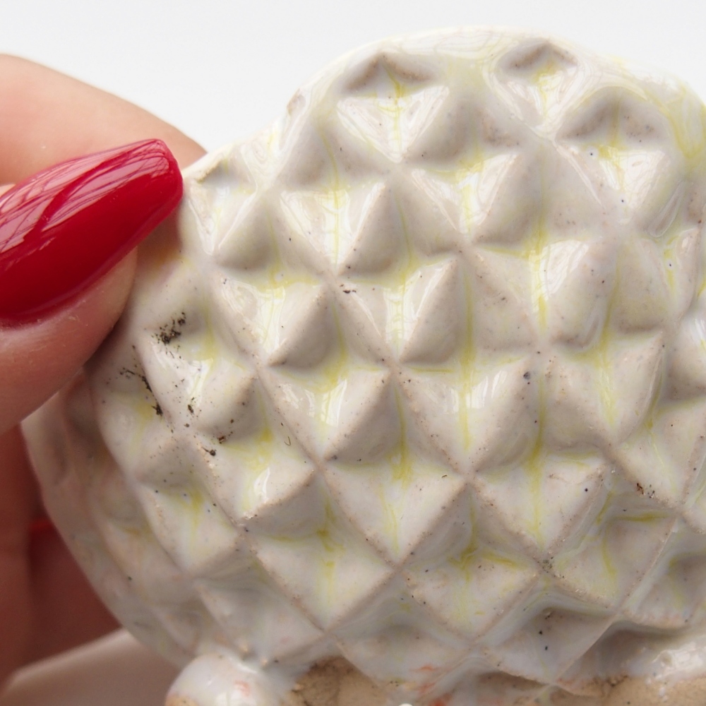 Conchiglia in ceramica 8 x 8 x 5 cm, colore verde