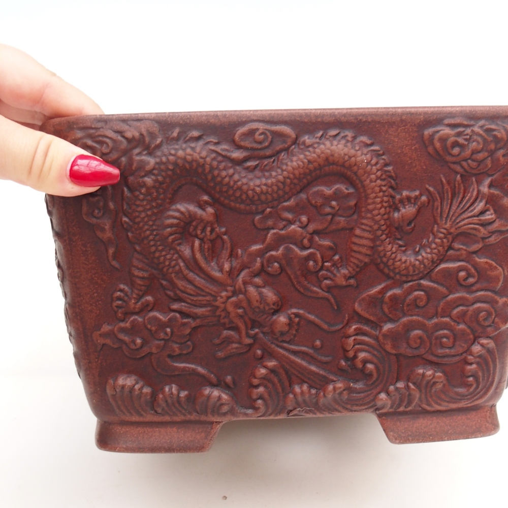 Ciotola per bonsai in ceramica 21 x 21 x 13 cm, marrone