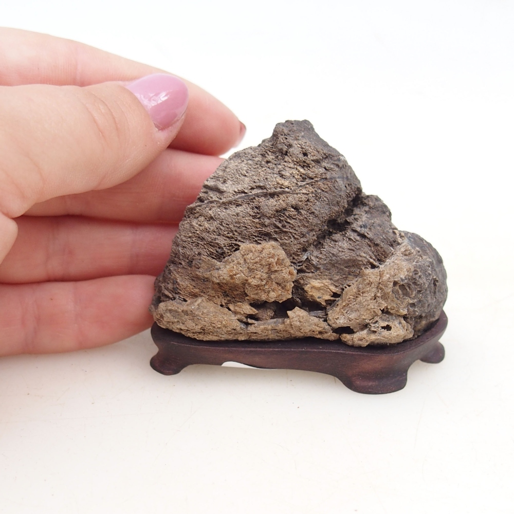 Suiseki - Pietra con DAI (base in legno)