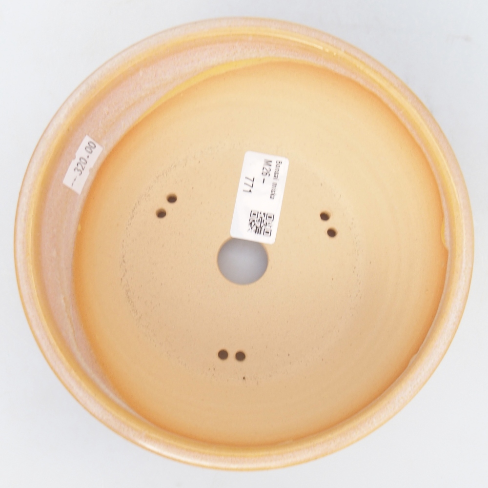 Ciotola per bonsai in ceramica 16,5 x 16,5 x 6,5 cm, colore marrone-giallo