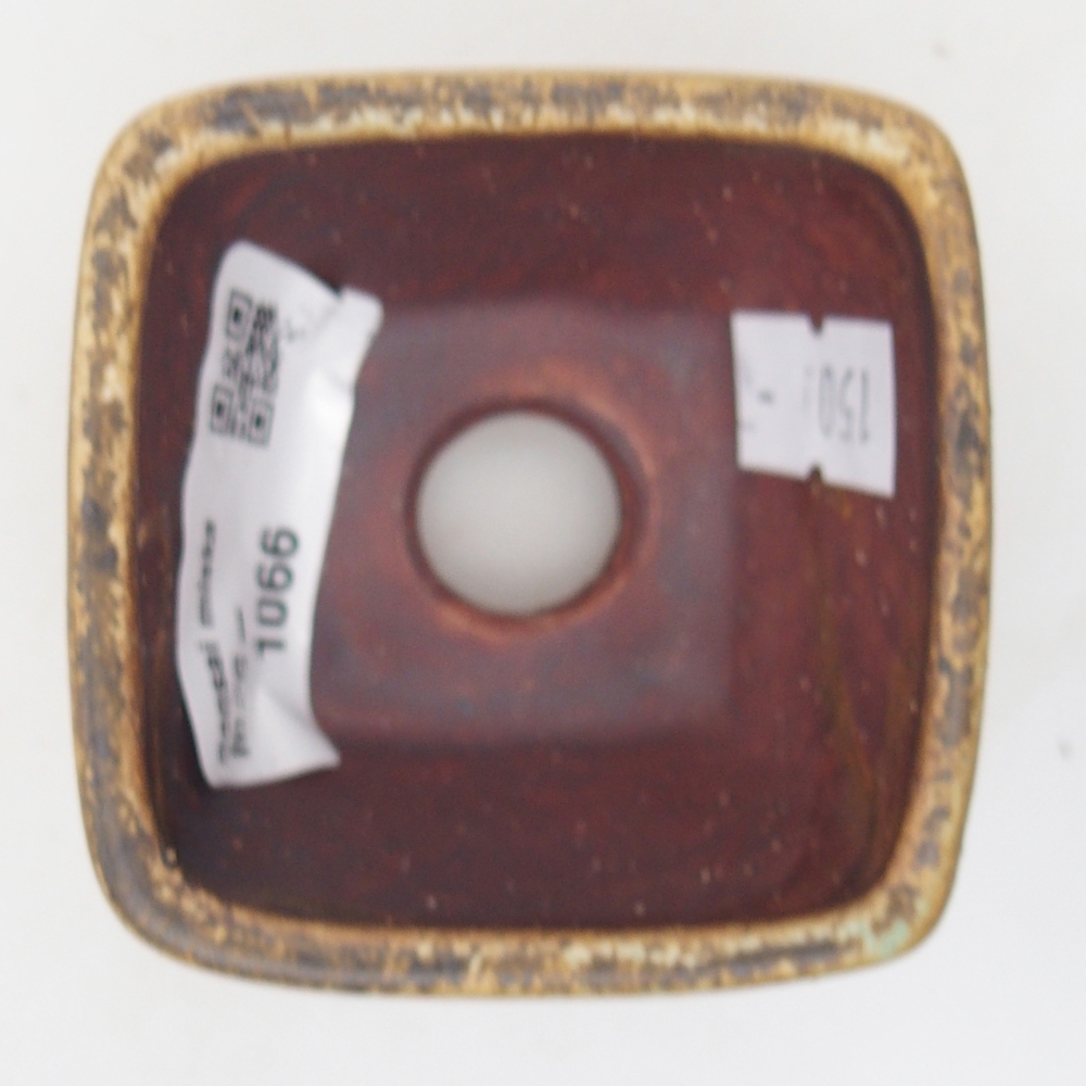 Ciotola per bonsai in ceramica 6 x 6 x 4 cm, verde