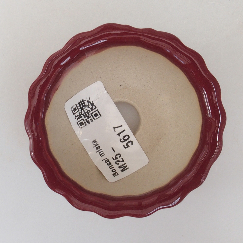 Ciotola per mini bonsai 6,5 x 6,5 x 3,5 cm, bordeaux