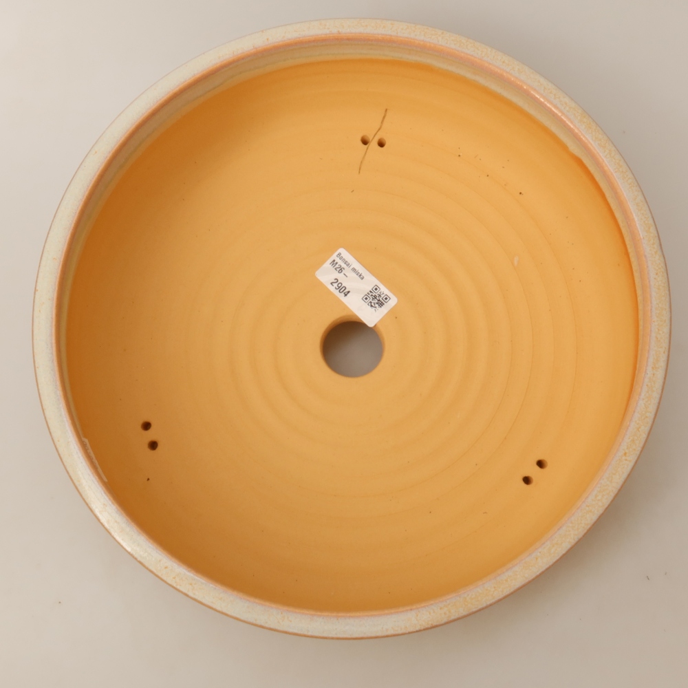Vaso in ceramica per bonsai 28 x 28 x 8 cm, colore beige