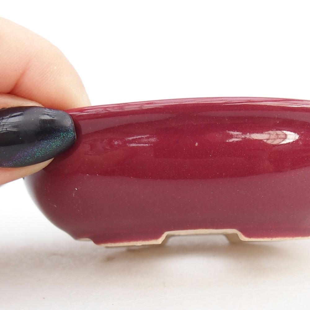 Mini bonsai 8 x 6 x 2,5 cm, bordeaux