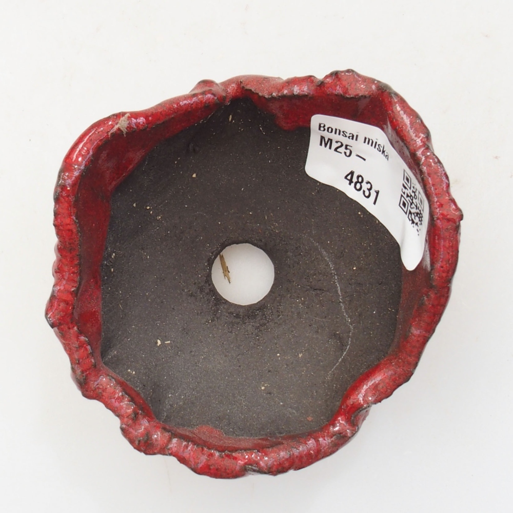 Conchiglia in ceramica 8 x 7,5 x 5 cm , colore rosso