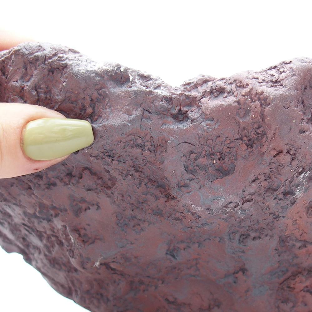 Conchiglia in ceramica 23 x 25 x 21 cm , colore marrone